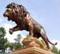 Bronze Sculpture protected with Everbrite Bronze Sculpture protected with Everbrite